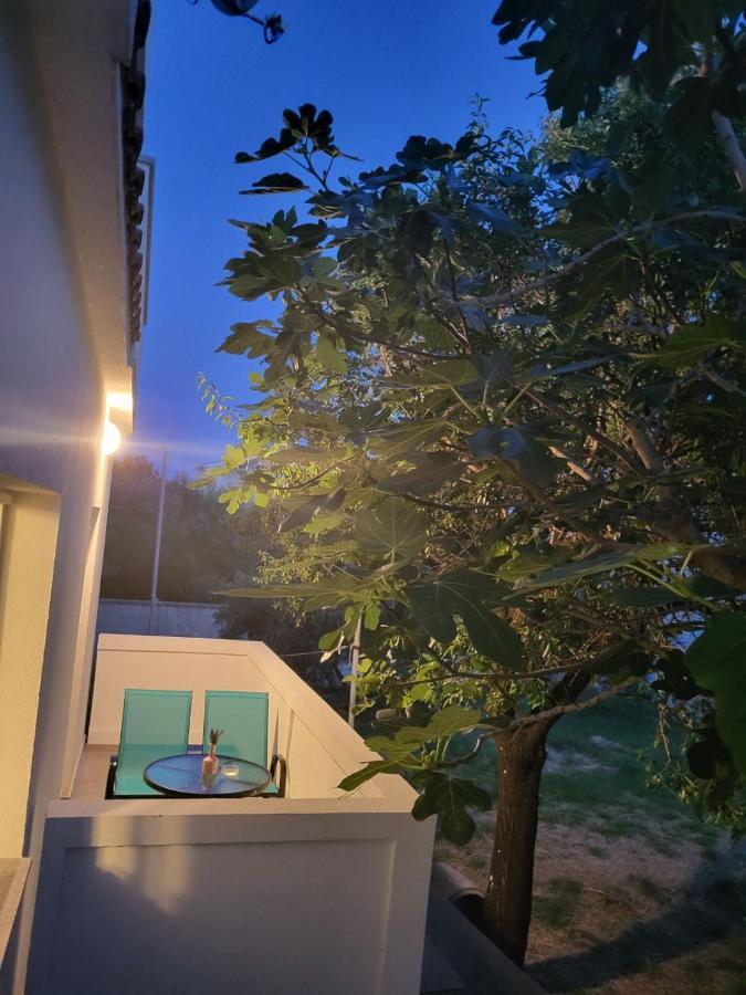 Apartman Padova Банёл Экстерьер фото